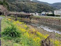 春の兆し 2020/03/07 00:26:26