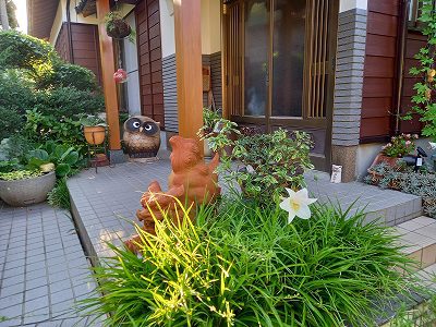 超豪華な一本のタカサゴユリ