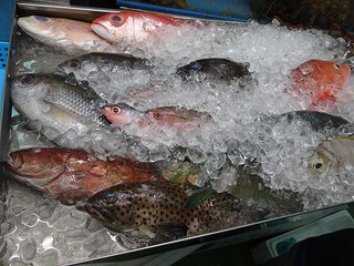 沖縄の夜
