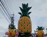 摂食障害（拒食症）の娘と共に　　ひかり