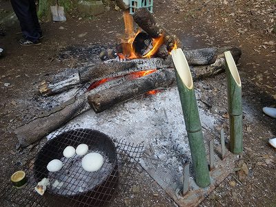 新年　おめでとうございます。
