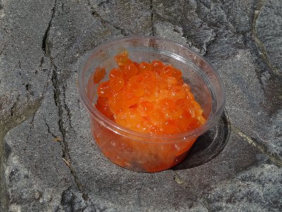 椎葉村で　アユ釣りに挑戦