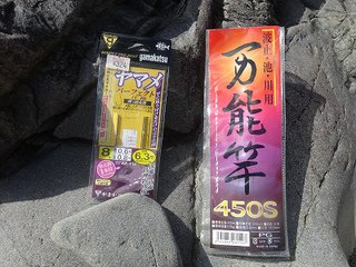 椎葉村で　アユ釣りに挑戦