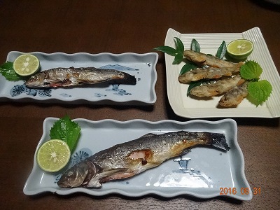 椎葉村で　アユ釣りに挑戦