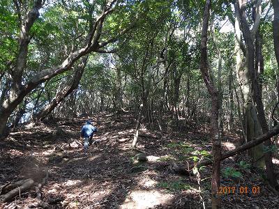 初詣は江迎町　白岳神社
