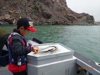 ニュージーランド４日目　ホワイトアイランドで魚釣り