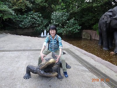 福岡発シンガポールへ　旅行一日目　ナイトサファリ