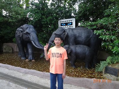 福岡発シンガポールへ　旅行一日目　ナイトサファリ