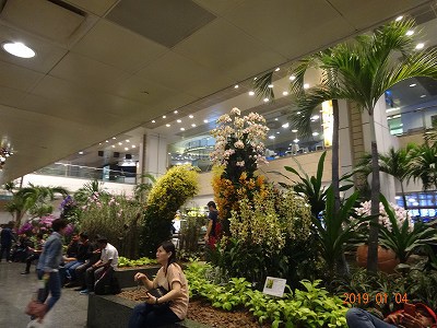 シンガポール～オーストラリア　ダーウィンへ　　旅行2日目　　