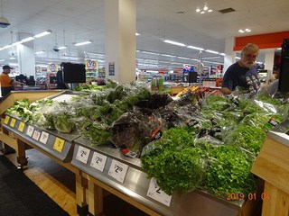 ＨＡＹＡＴＯの夢　「ダーウィンに行って釣りをする！」　　　旅行６日目　