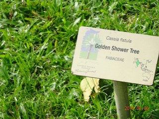 ダーウィン　セグウェイでジョージ ブラウン ダーウィン植物園　　　　　　　　　　旅行４日目　午後