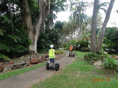 ダーウィン　セグウェイでジョージ ブラウン ダーウィン植物園　　　　　　　　　　旅行４日目　午後