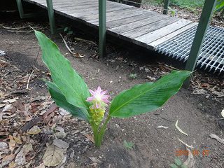 ダーウィン　カカドゥ国立公園　ノーランジー　旅行５日目　　午後