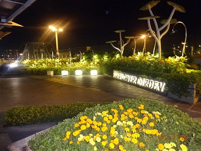 チャンギ空港　トランジットホテル休息　帰国