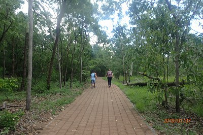 ダーウィン　カカドゥ国立公園　ノーランジー　旅行５日目　　午後