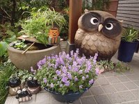 ありがとう　さようなら　　「浮雲」に終止符を。 2019/06/11 00:46:11