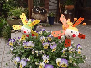 満開のタツナミソウ