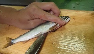 里帰り　長兄の初盆　