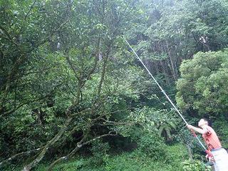 里帰り　長兄の初盆　