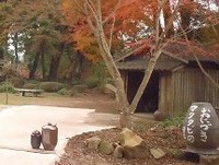 山の上の素敵なご夫婦 2015/12/15 02:22:38