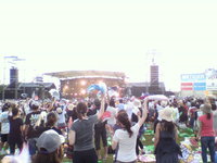 MIRF 2010