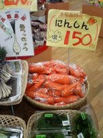 津堅にんじん
