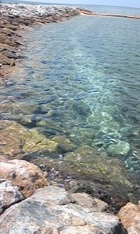 白いライン 2011/02/25 13:17:15