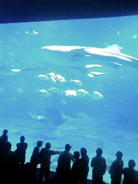 ★プチ家族旅行 2011/02/27 20:12:35