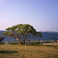 ★リフレッシュ 2011/04/03 23:01:33