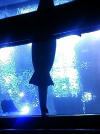 ★秋の遠足 2011/10/10 00:50:22