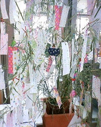 ★星に願いを。 2012/07/08 23:30:10
