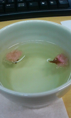 桜花＆おたべ