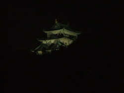 夜桜