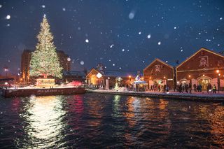 クリスマスイブの夜に、たった1人で、死にたい気持ちを抱えているあなたに　　死にたい気持ちを語る会