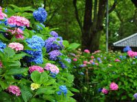 「人間性心理学体験ワークショップ」の説明です。2021年6月26日27日 2021/05/22 21:44:46