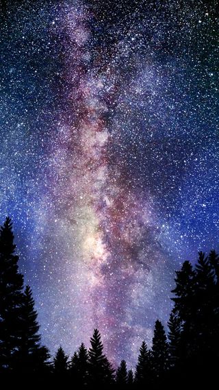 ユングと占星術との関係