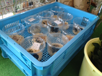 こういう風景が好き 2015/08/02 23:01:51