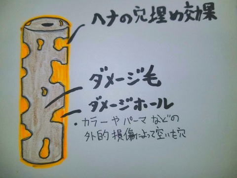 沖縄 那覇市 小禄美容室 気まぐれカフー日記 Tel098 911 1813 完全予約制サロン ヘナとインディゴってどうなの