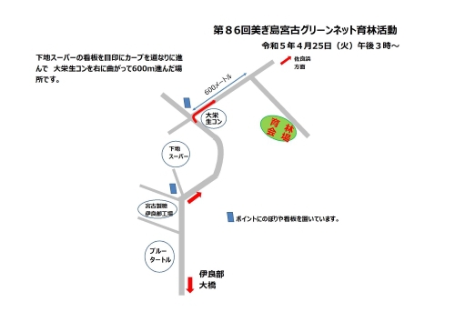 トゲナシもアリもハナキリン