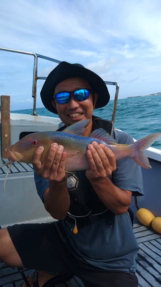 最近の釣果