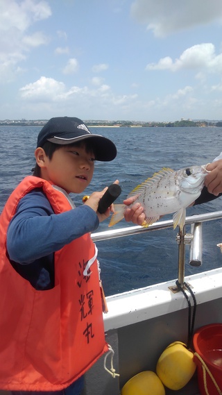 最近の釣果。