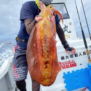 最近の釣果