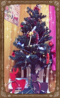 ウキウキ12月（≧∇≦） 2014/12/01 19:06:57