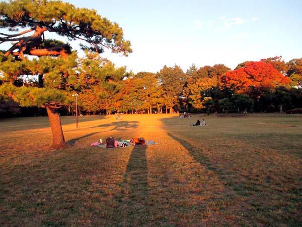秋いっぱいの小金井公園