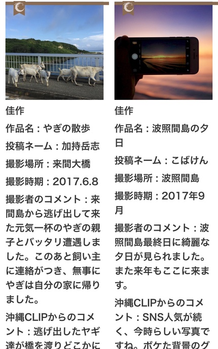 捨てる神あれば拾う神あり Jal 沖縄clipフォトコンテスト で佳作入賞 宮古島から人生晴れたり曇ったり マラソン トライアスロン 演劇 美味しいもの かもさん の日々