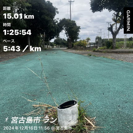 空港前の歩道です。こんな出っ張りがいっぱいあって、躓きそうで恐いんです。