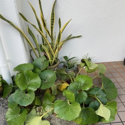 味くらべ^ ^