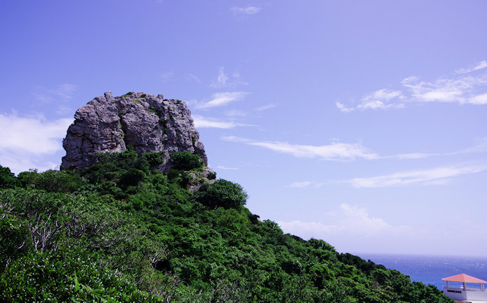 陸ギタラ