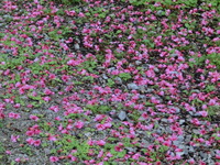 2月8日(土)