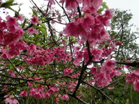 2月8日(土)